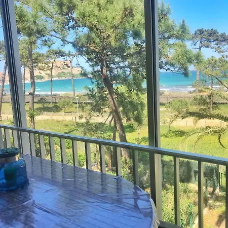 Appartement Ou Studio La Mer & La Plage A Vos Pieds Calvi Calvi  Exterior photo