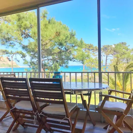 Appartement Ou Studio La Mer & La Plage A Vos Pieds Calvi Calvi  Exterior photo