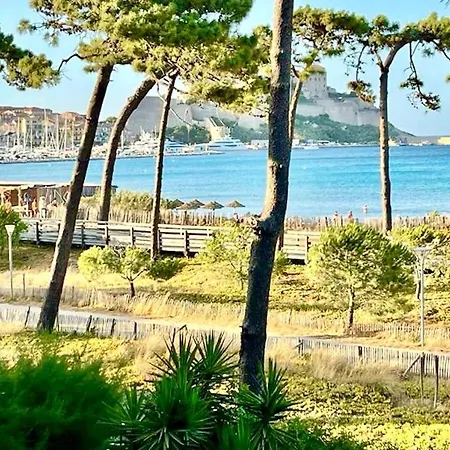 Appartement Ou Studio La Mer & La Plage A Vos Pieds Calvi Calvi  Exterior photo