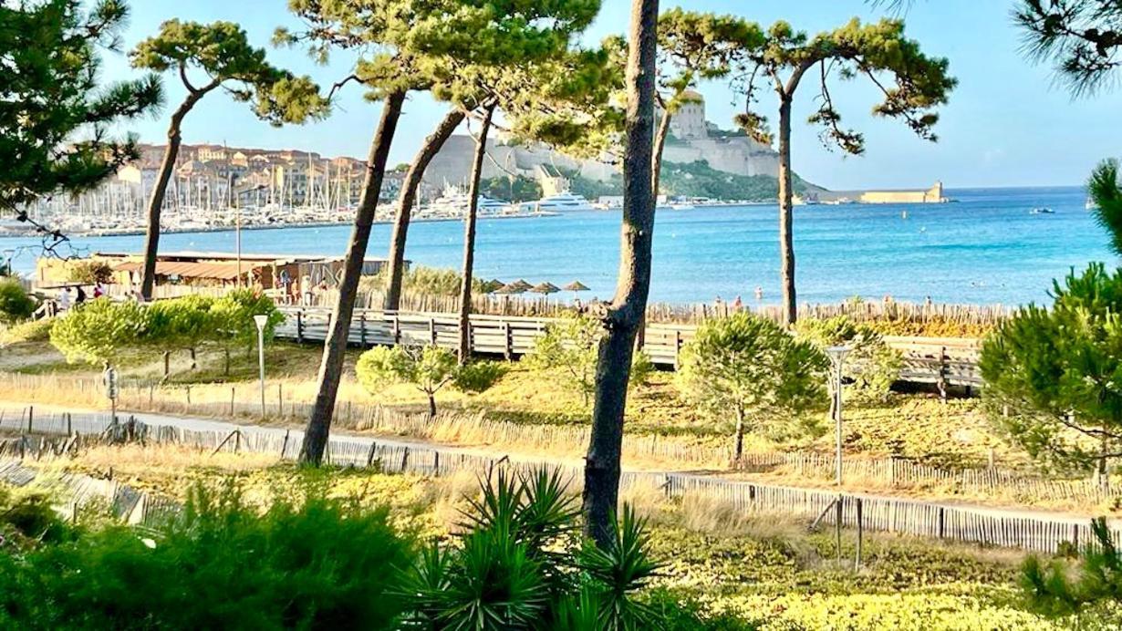Ou La & La A Vos Pieds Calvi Apartment